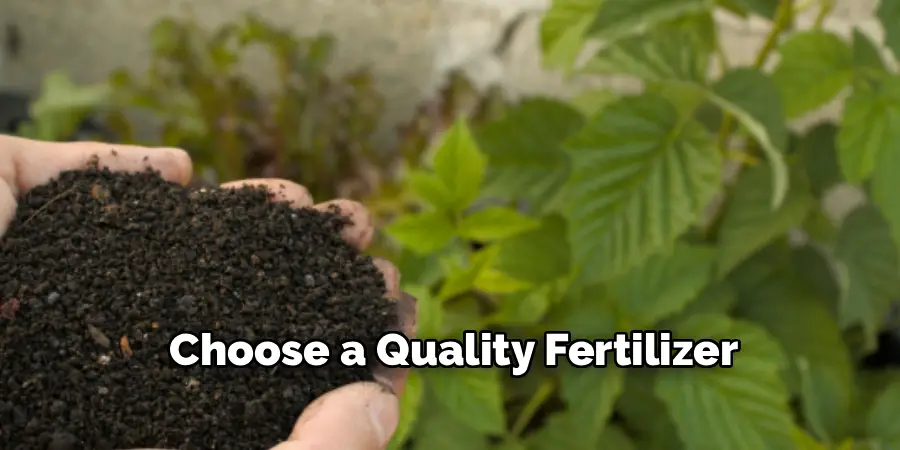 Choose a Quality Fertilizer