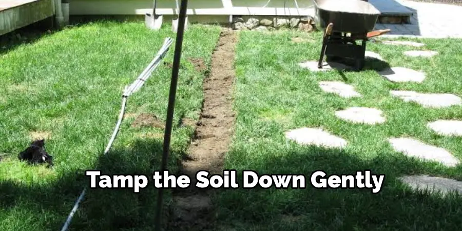  Tamp the Soil Down Gently