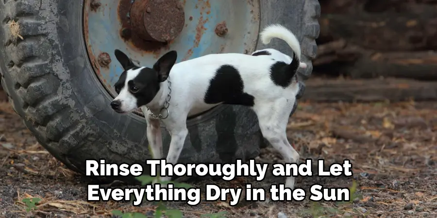 Rinse Thoroughly and Let
Everything Dry in the Sun