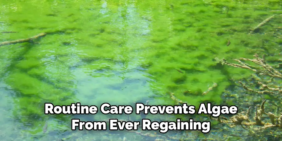 Routine Care Prevents Algae
From Ever Regaining