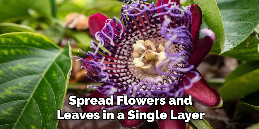 Spread Flowers and
Leaves in a Single Layer