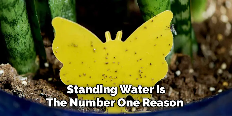 Standing Water is
The Number One Reason