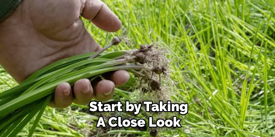 Start by Taking
A Close Look