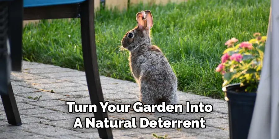 Turn Your Garden Into
A Natural Deterrent