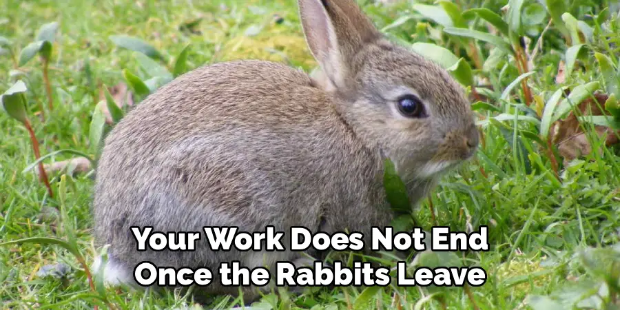 Your Work Does Not End
Once the Rabbits Leave