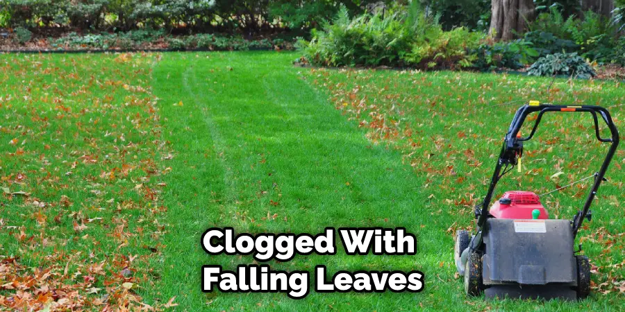 Clogged With Falling Leaves