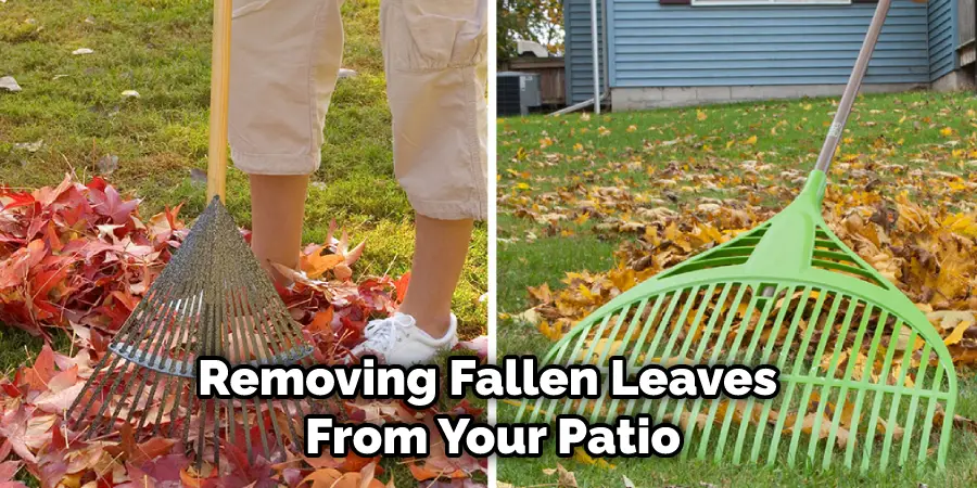 Removing Fallen Leaves From Your Patio