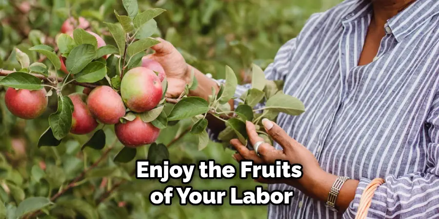 Enjoy the Fruits of Your Labor