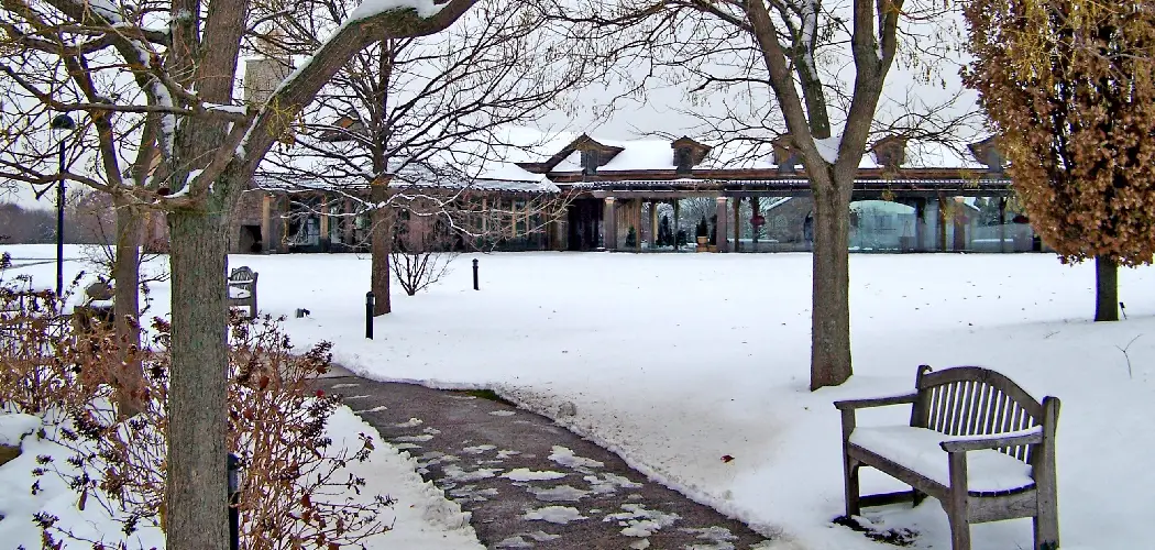 How to Deice Wood Deck 10 Amazing Ways (2023)