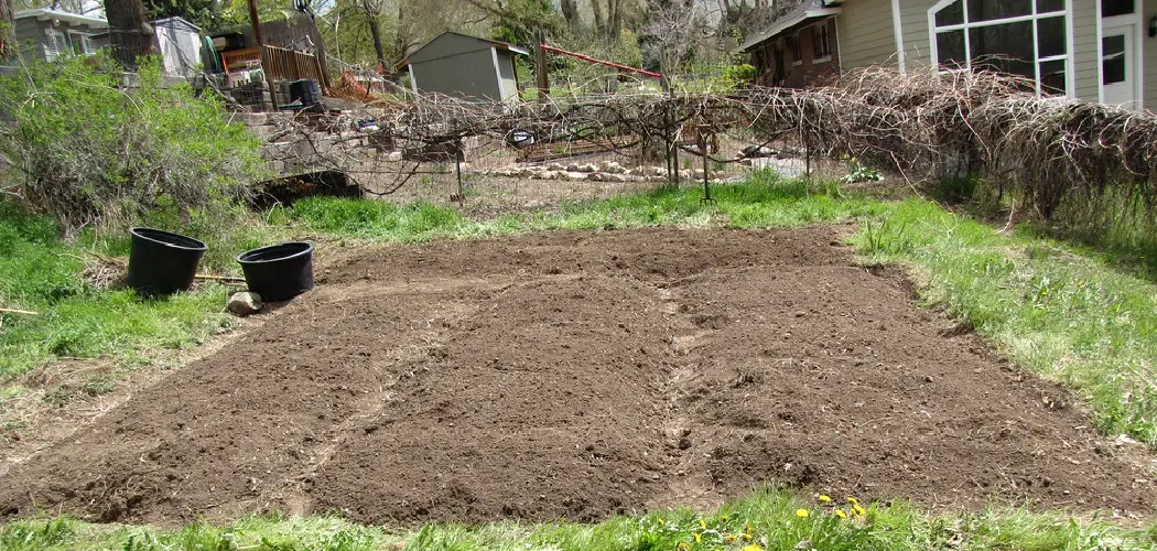 How to Make Dirt Backyard Look Nice