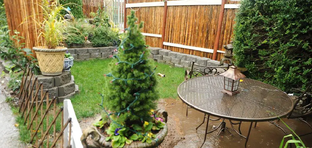 How to Prevent Muddy Backyard 10 Simple Steps (2024)