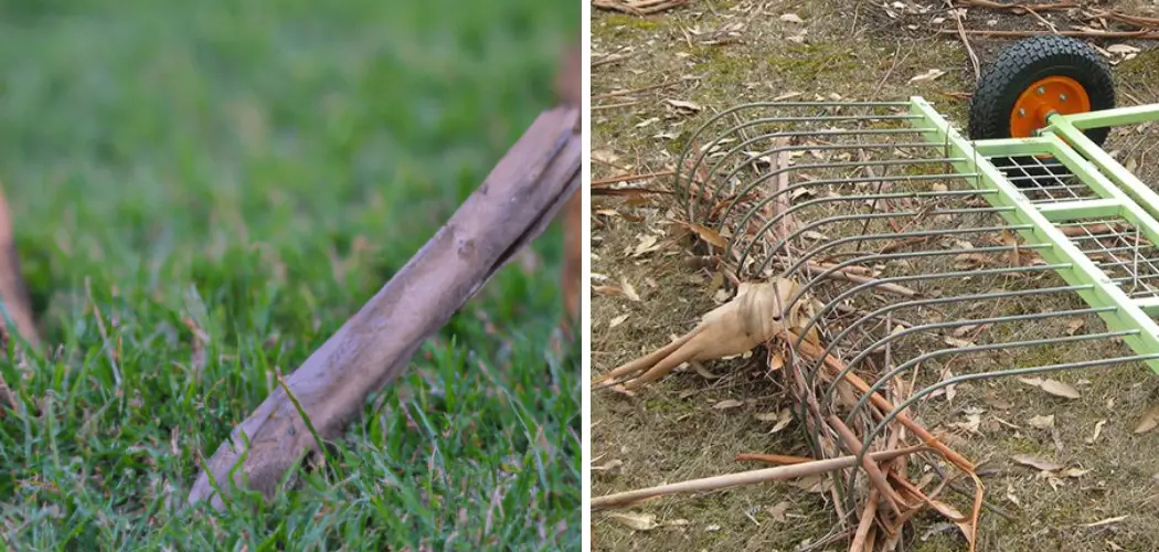 How to Remove Sticks From Yard