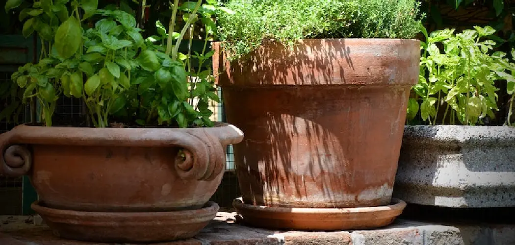 How to Stop Staining on Patio from Plant Pots