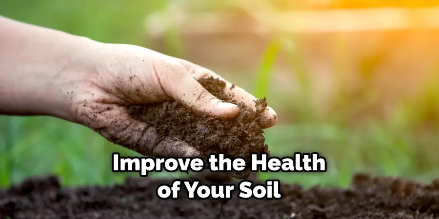 Improve the Health of Your Soil