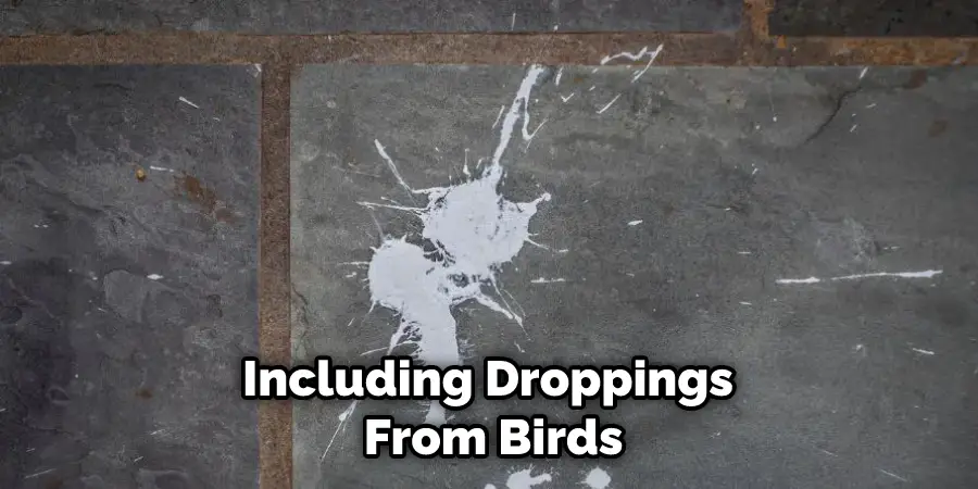 Including Droppings From Birds