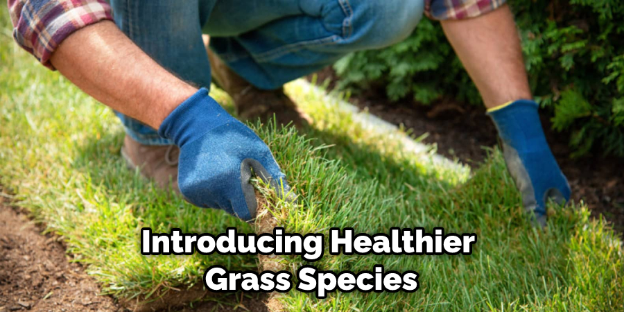 Introducing Healthier Grass Species