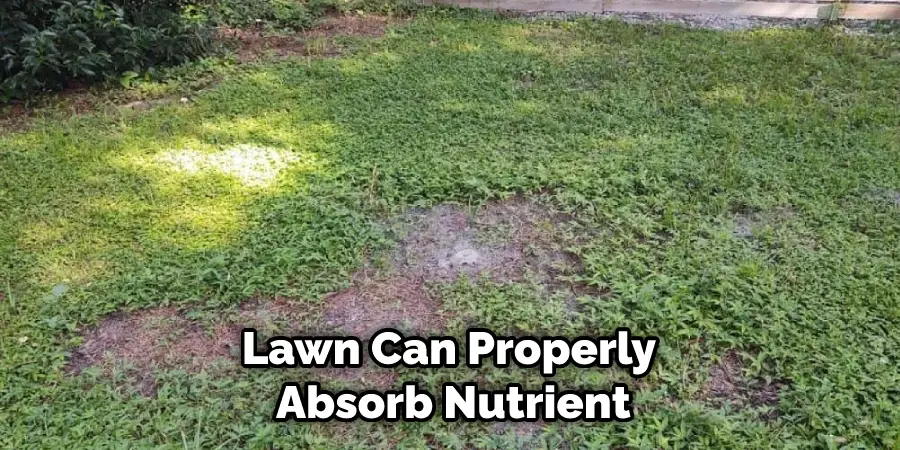 Lawn Can Properly Absorb Nutrient