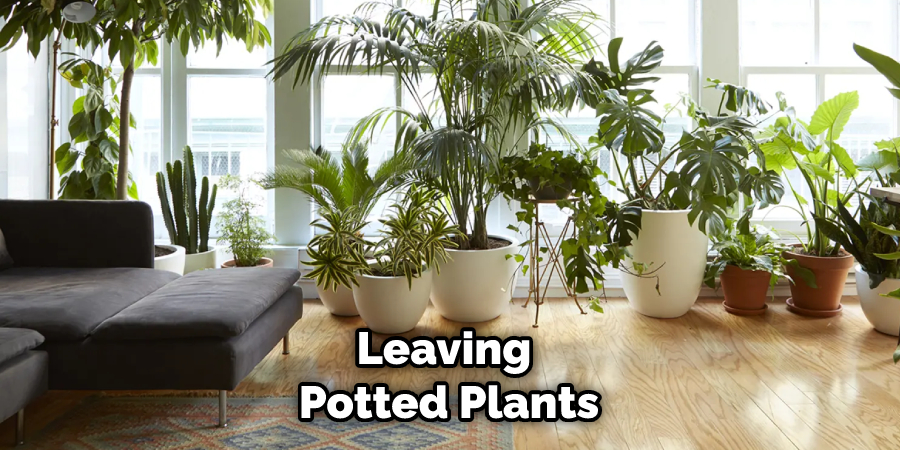 Leaving Potted Plants
