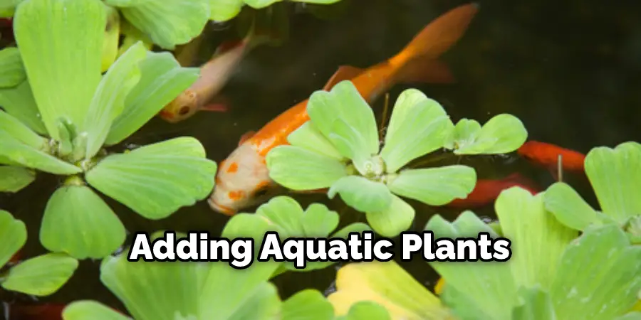 Adding Aquatic Plants