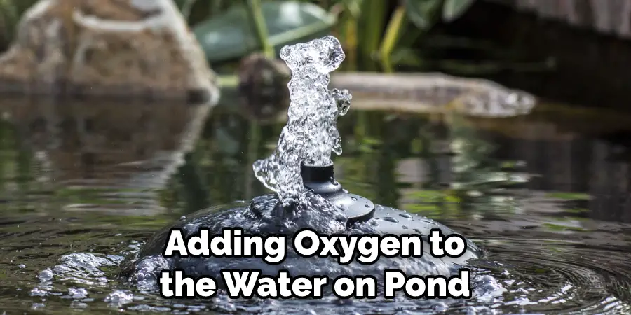 Adding Oxygen to the Water on Pond