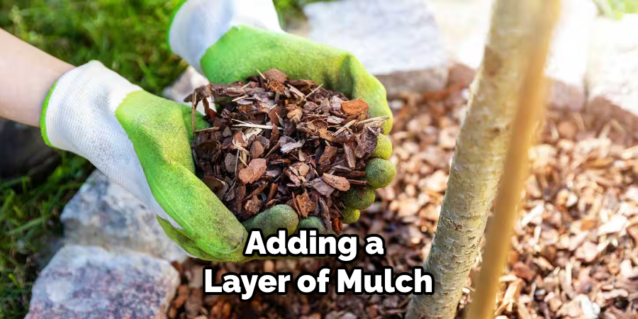 Adding a Layer of Mulch