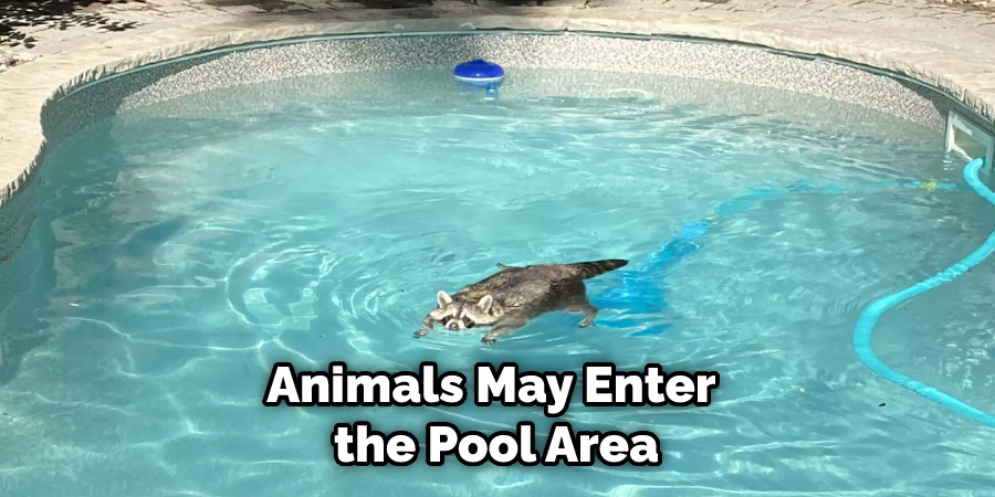 Animals May Enter the Pool Area