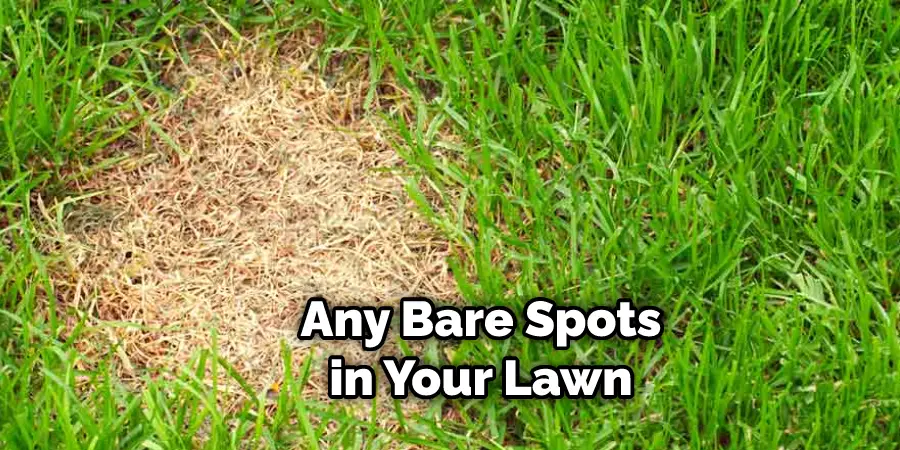 Any Bare Spots in Your Lawn