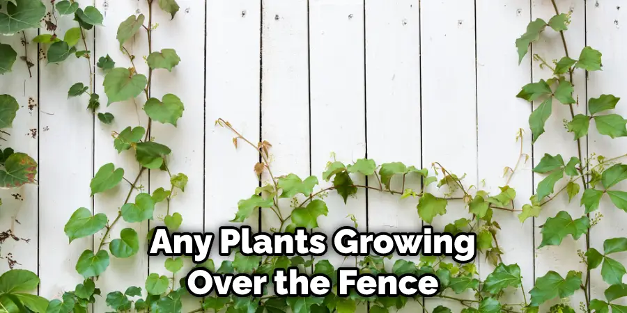 Any Plants Growing Over the Fence