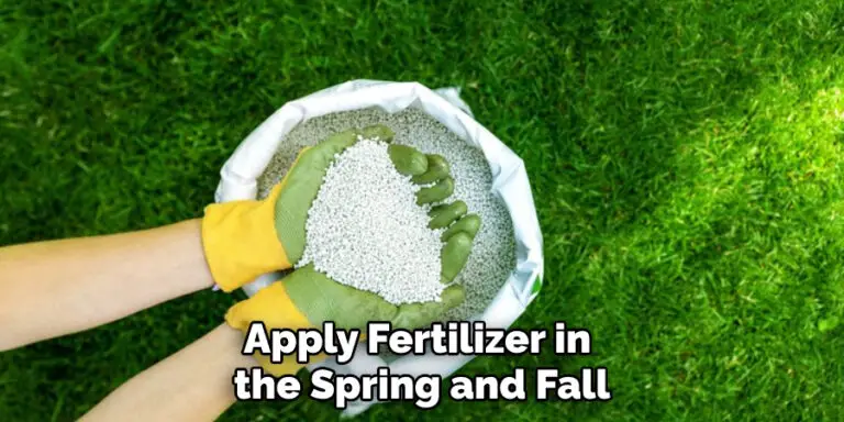How to Make My Grass Dark Green | 10 Effective Tips (2025)