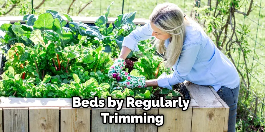 Beds by Regularly Trimming