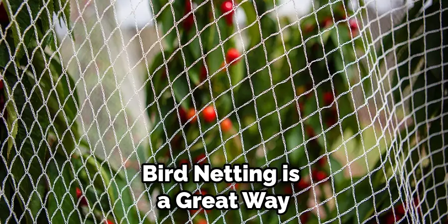 Bird Netting is a Great Way