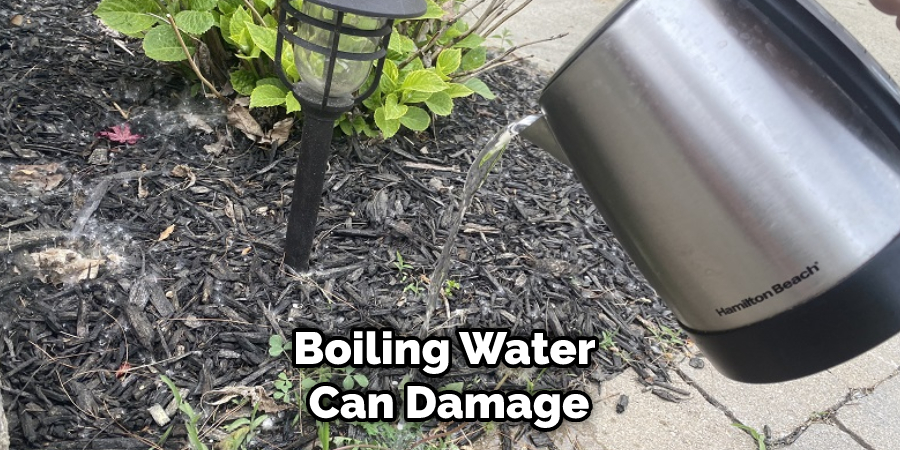 Boiling Water Can Damage