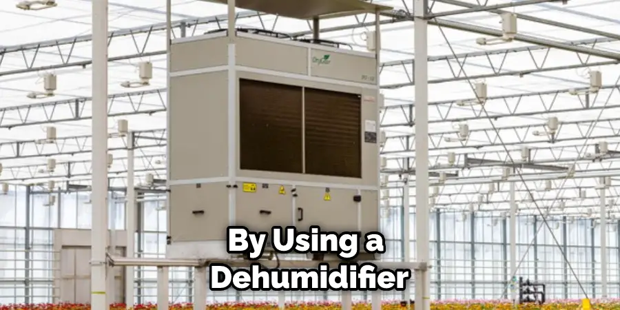 By Using a Dehumidifier