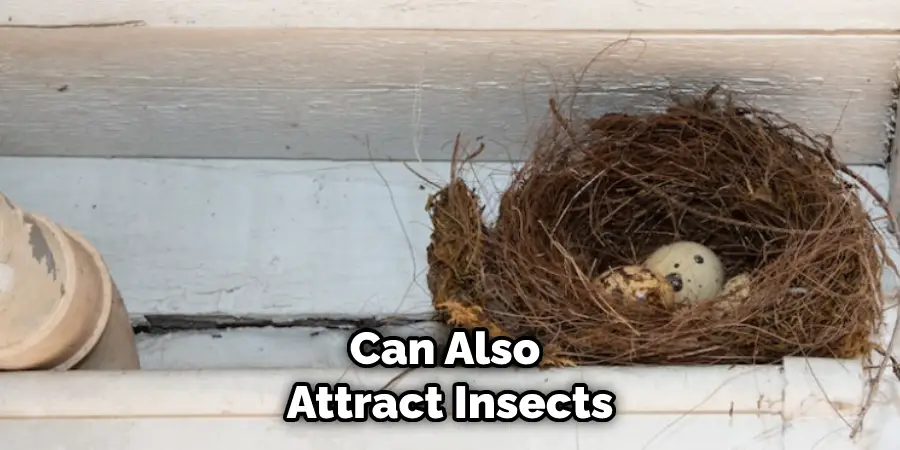 Can Also Attract Insects