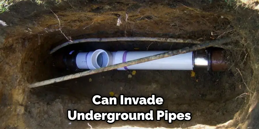 Can Invade Underground Pipes