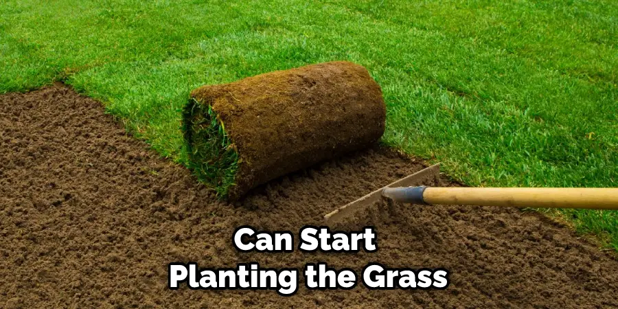 Can Start Planting the Grass