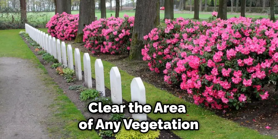 Clear the Area of Any Vegetation