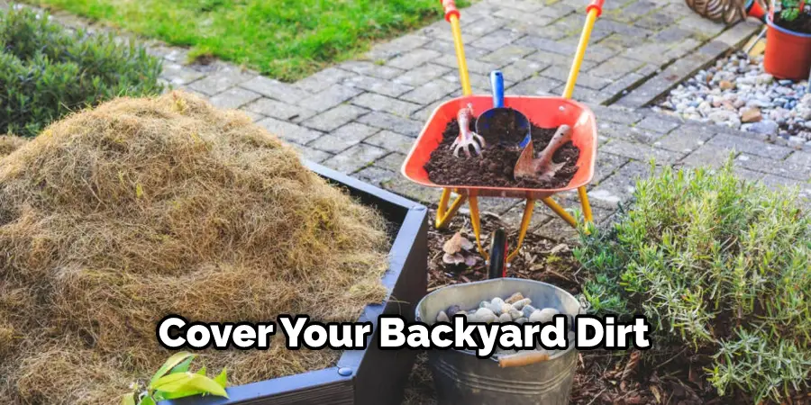 Cover Your Backyard Dirt