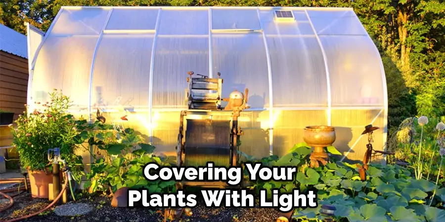 Covering Your Plants With Light