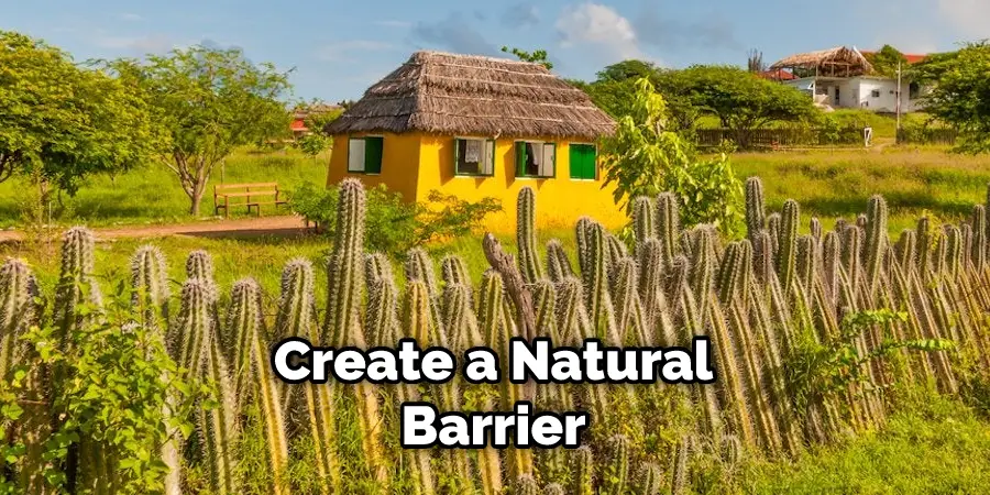 Create a Natural Barrier