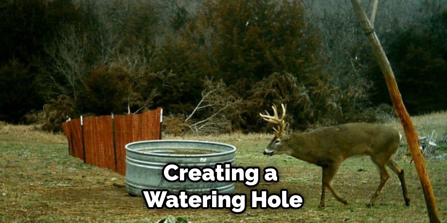 Creating a Watering Hole