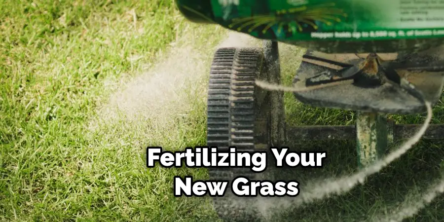 Fertilizing Your New Grass