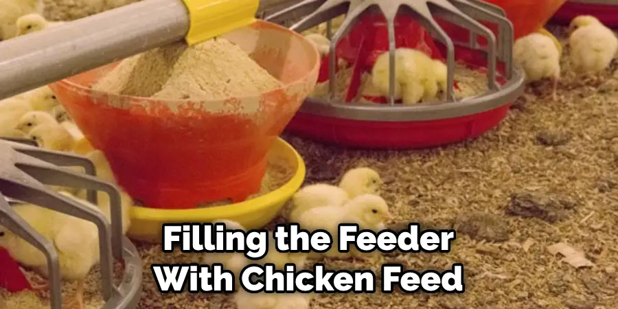 Filling the Feeder With Chicken Feed
