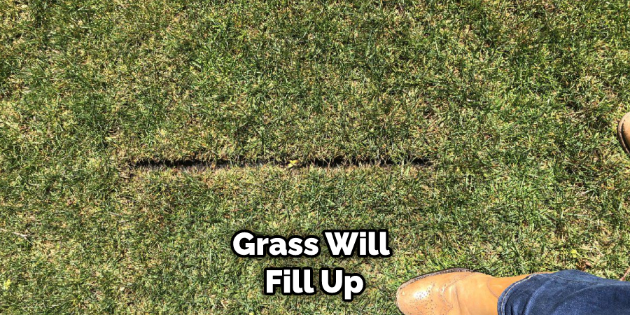 Grass Will Fill Up