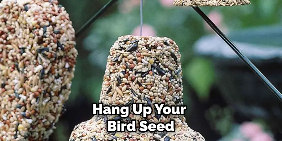 Hang Up Your Bird Seed