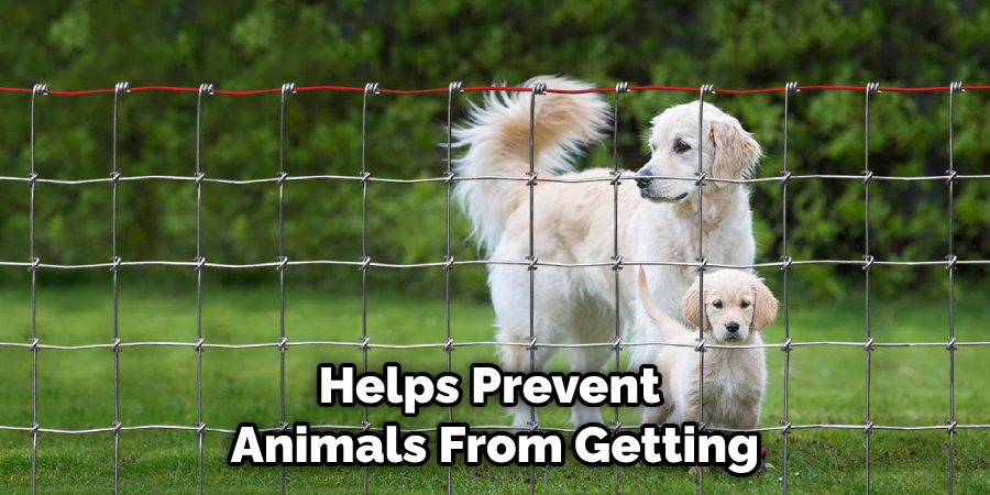 Helps Prevent Animals From Getting