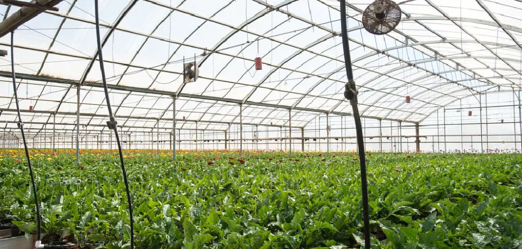 How to Cool a Greenhouse Without Electricity