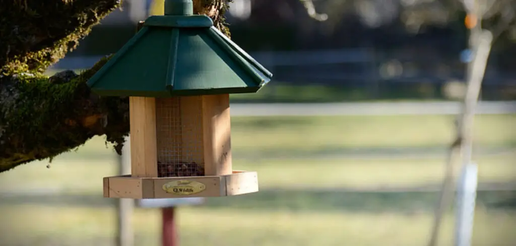 How to Hang a Chicken Feeder