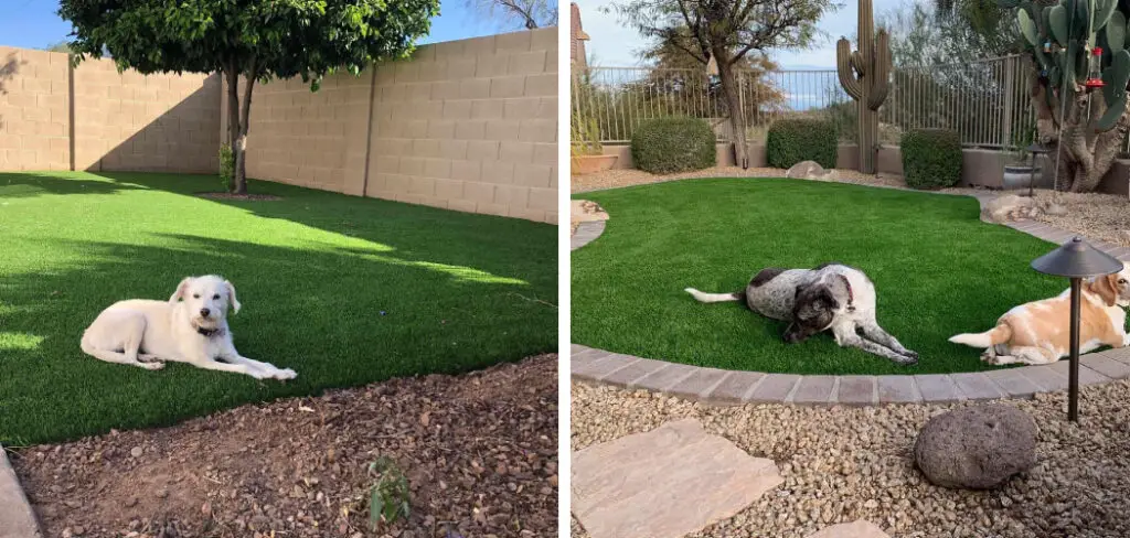 How to Lay Artificial Grass for Dogs