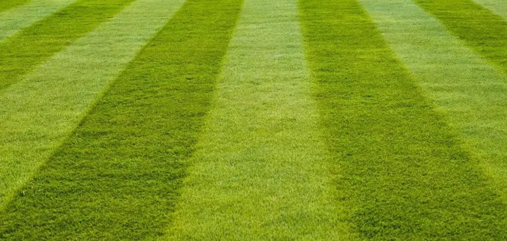 How to Maintain Artificial Turf